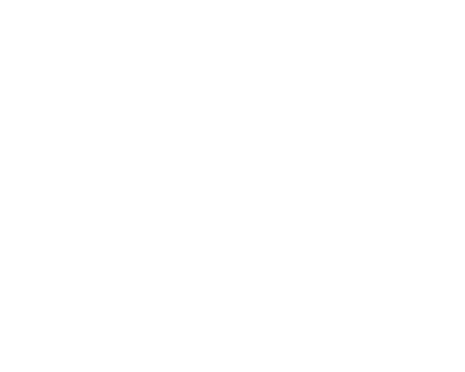 NidarosSecurity_logo_hvit